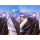 Acer Predator XB323QUPBMIIPRX - 1358545 - zdjęcie 12